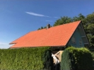 Bilder_114
