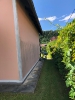 Bilder_19