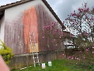 Bilder_265