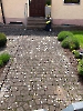 Bilder_297