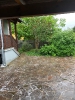 Bilder_42