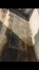 Bilder_67